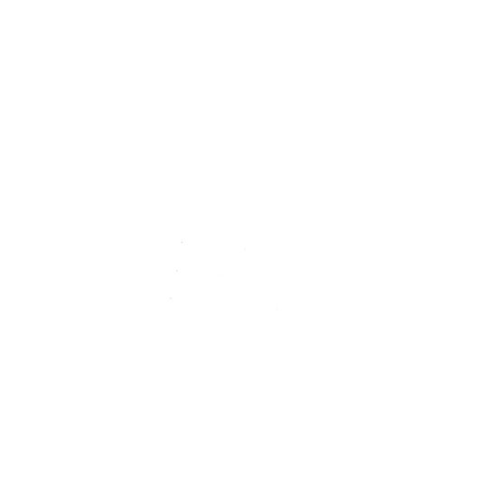 Port-Beg-Skiff.png